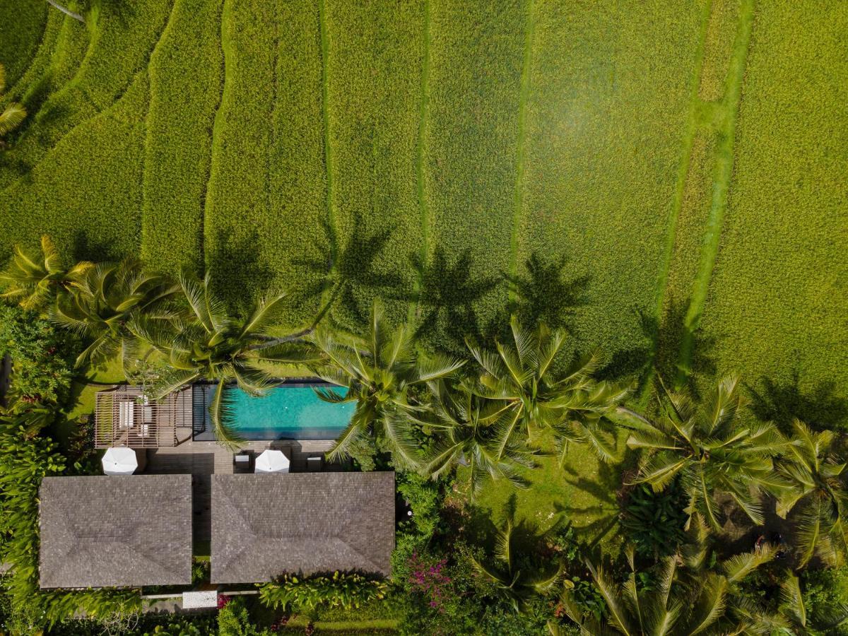 Kappa Senses Ubud Kültér fotó