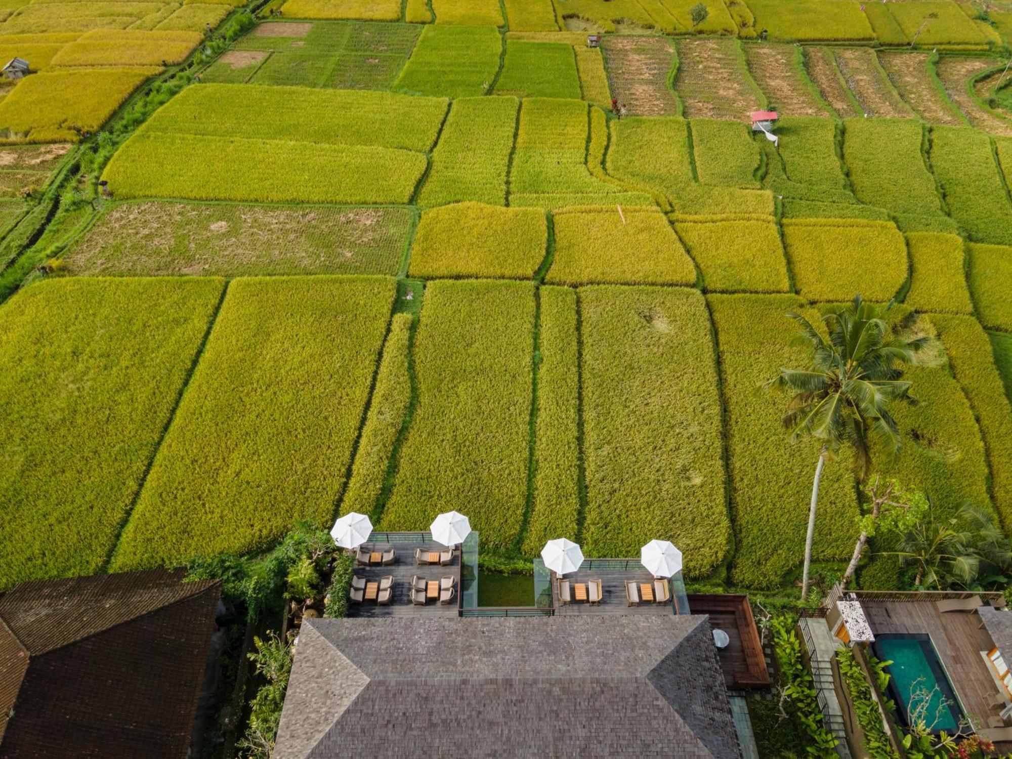 Kappa Senses Ubud Kültér fotó