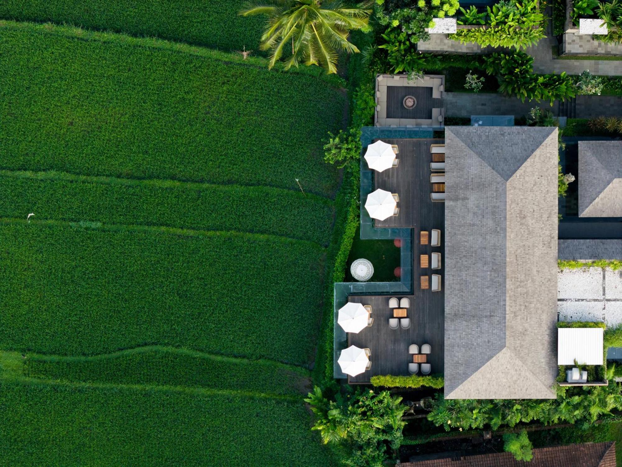 Kappa Senses Ubud Kültér fotó