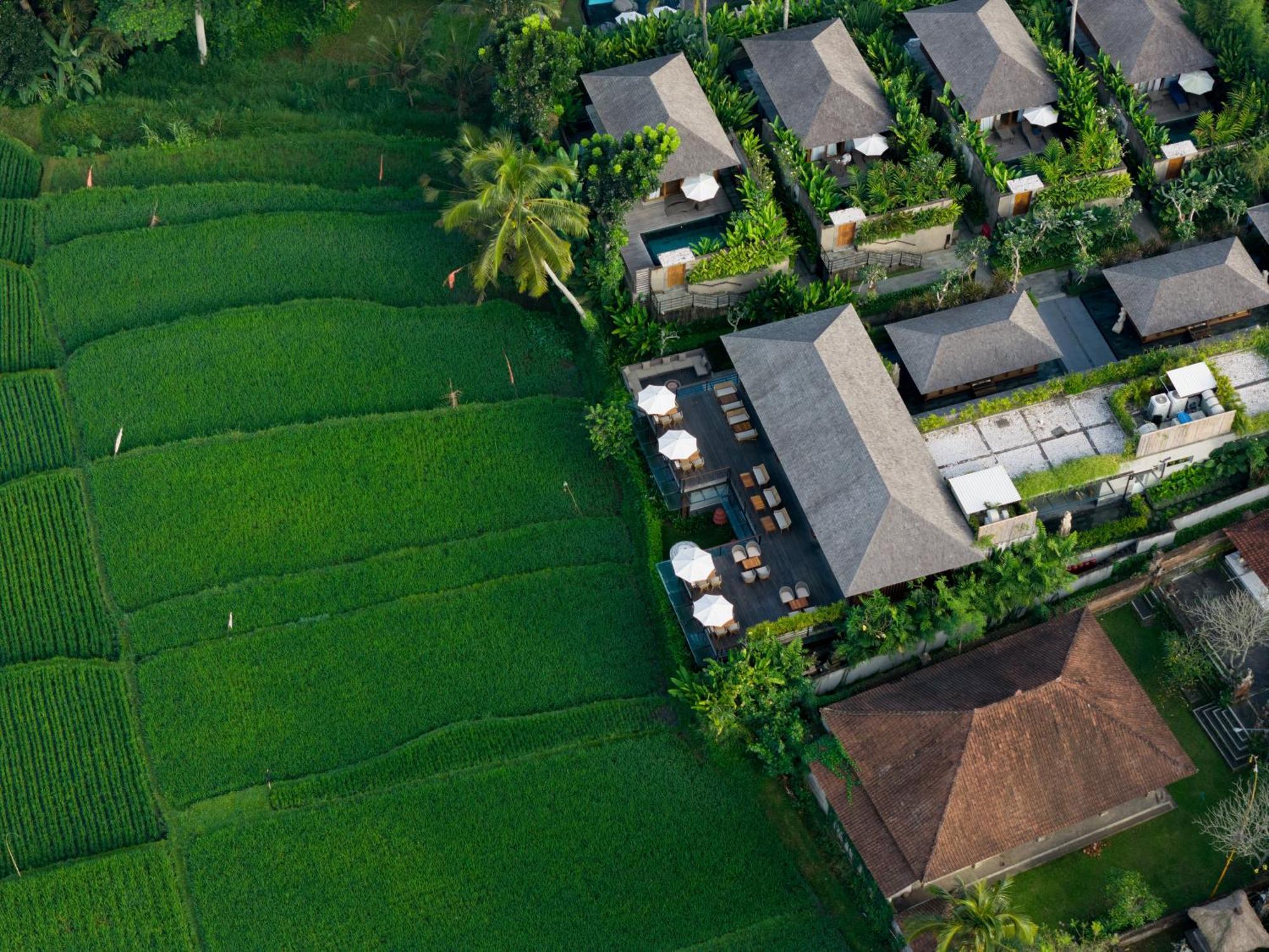 Kappa Senses Ubud Kültér fotó