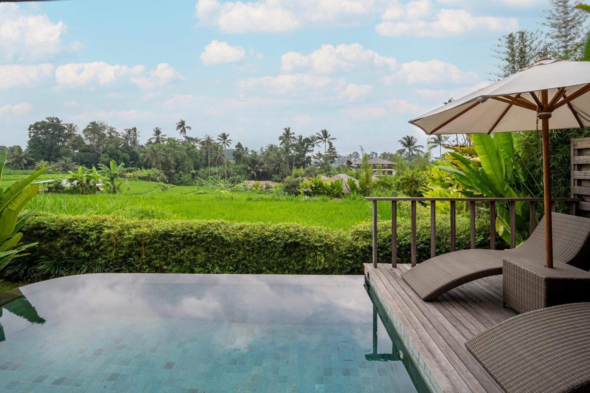 Kappa Senses Ubud Szoba fotó